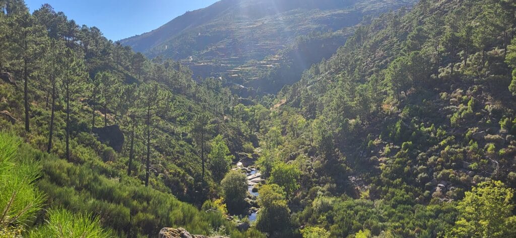 Lush green mountain valley with forest and river in Central Portugal
